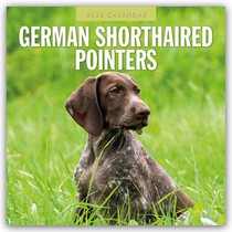 German Shorthaired Pointers 2026 Square Wall Calendar