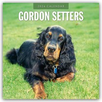 Garden Life Illustrated 2026 Square Wall Calendar