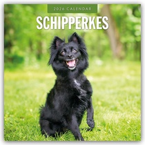 Schipperkes 2026 Square Wall Calendar