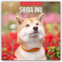 Shiba Inu 2026 Square Wall Calendar