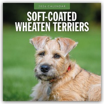 Soft-coated Wheaten Terriers 2026 Square Wall Calendar