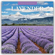 Lavender 2026 Square Wall Calendar