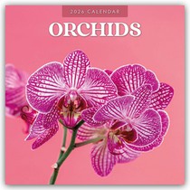 Orchids 2026 Square Wall Calendar