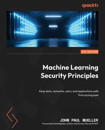 Machine Learning Security Principles