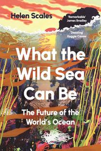 What the Wild Sea Can Be