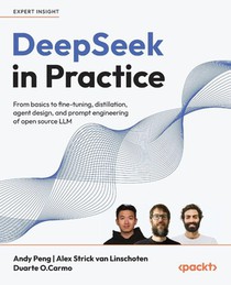 DeepSeek in Practice