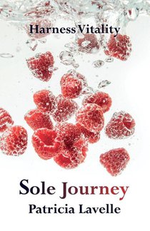 Sole Journey