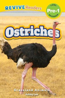 Ostriches