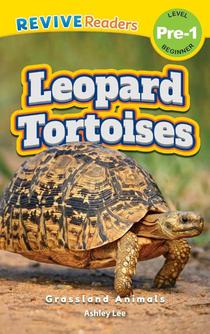 Leopard Tortoises