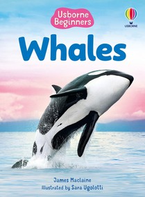 Beginners Whales