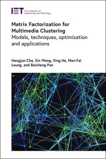 Matrix Factorization for Multimedia Clustering