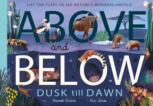 Above and Below: Dusk till Dawn voorzijde