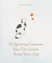 10 Spiritual Lessons You Can Learn from Your Cat