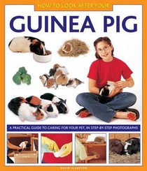 How to Look After Your Guinea Pig voorzijde