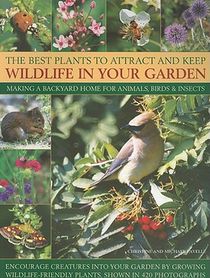 Best Plants to Attract and Keep Wildlife in the Garden