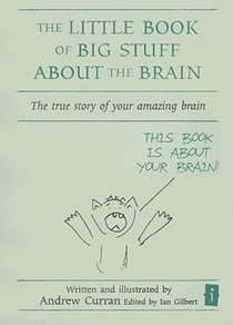 The Little Book of Big Stuff about the Brain