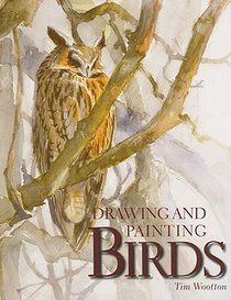 Drawing and Painting Birds