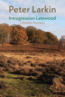 Introgression Latewood