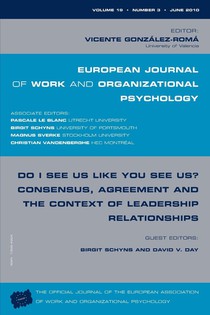 Do I See Us Like You See Us? Consensus, Agreement, and the Context of Leadership Relationships