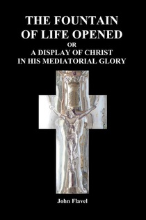 The Fountain of Life Opened (Paperback)