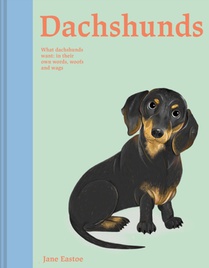 Dachshunds voorzijde