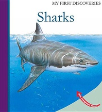 Sharks voorzijde