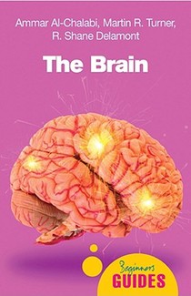 The Brain