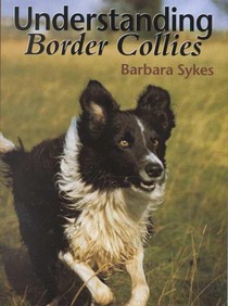 Understanding Border Collies