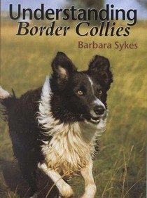 Understanding Border Collies