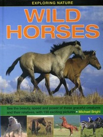 Exploring Nature: Wild Horses voorzijde
