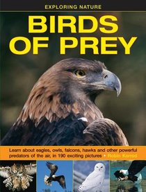 Exploring Nature: Birds of Prey