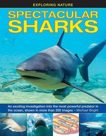 Exploring Nature: Spectacular Sharks