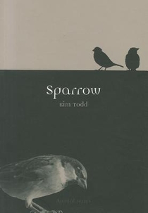 Sparrow