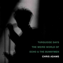 Turquoise Days: The Weird World of Echo & the Bunnymen