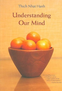 Understanding Our Mind voorzijde