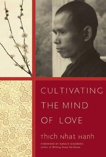 Cultivating the Mind of Love