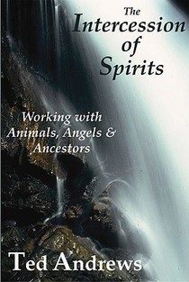 INTERCESSION OF SPIRITS voorzijde