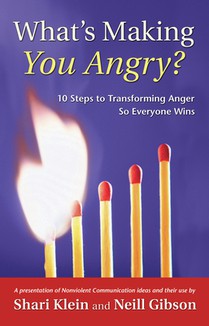 What's Making You Angry?