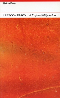 A Responsibility to Awe