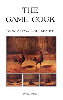 The Game Cock - Being a Practical Treatise on Breeding, Rearing, Training, Feeding, Trimming, Mains, Heeling, Spurs, Etc. (History of Cockfighting Series)