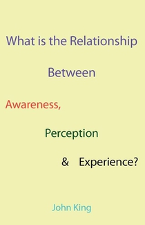 What is the Relationship Between Awareness, Perception & Experience?