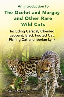 An introduction to The Ocelot and Margay and Other Rare Wild Cats Including Caracal, Clouded Leopard, Black Footed Cat, Fishing Cat and Iberian Lynx