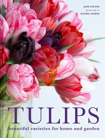 Tulips voorzijde