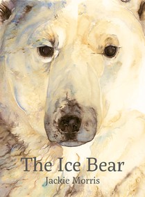 Ice Bear, The voorzijde