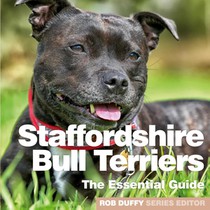 Staffordshire Bull Terriers