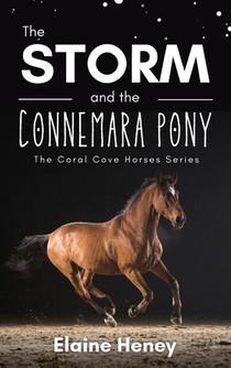The Storm and the Connemara Pony - The Coral Cove Horses Series