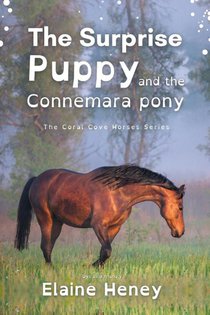 The Surprise Puppy and the Connemara Pony - Dyslexia Friendly