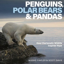 Penguins, Polar Bears & Pandas