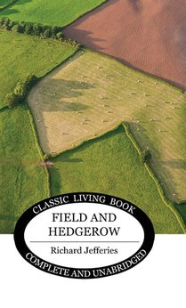 Field and Hedgerow