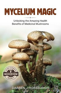 Mycelium Magic